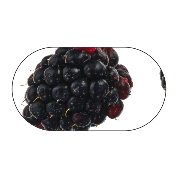 Blackberry