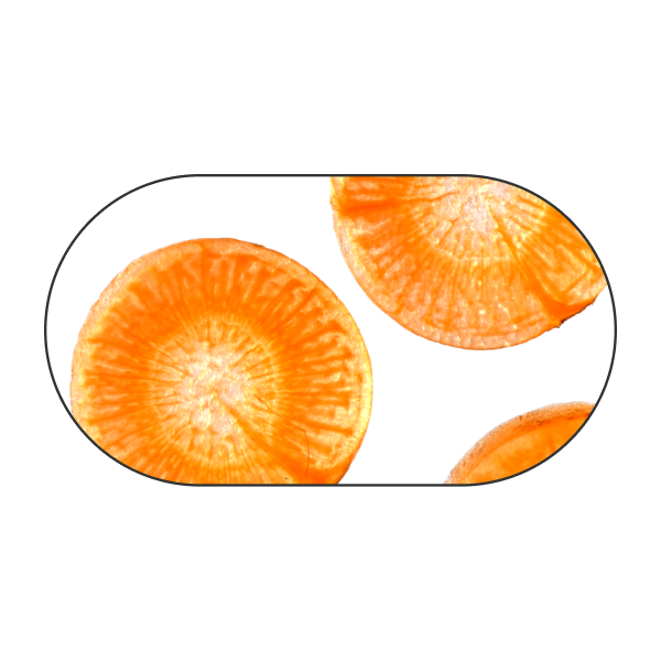 Carrot