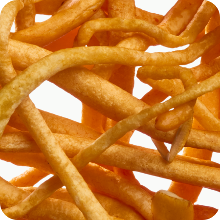 Cordyceps mushroom mycelium